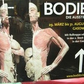 Ausstellung Bodies 01