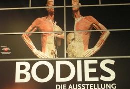 Ausstellung Bodies 02