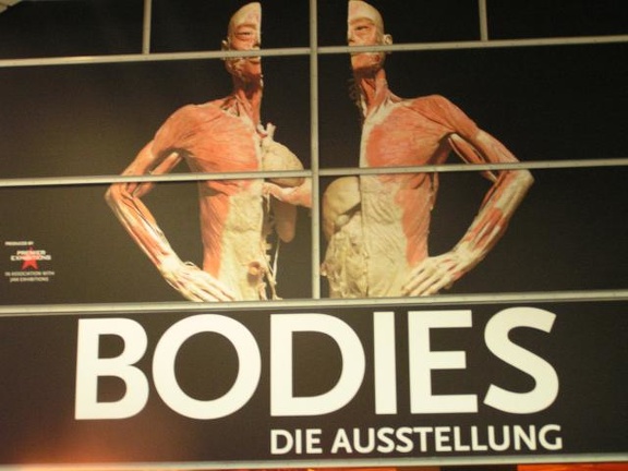 Ausstellung Bodies 02