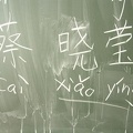 Vortrag chinesische Schrift 08