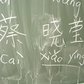 Vortrag chinesische Schrift 09