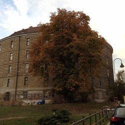 2013-10-23 Lehrausgang WPF Psychologie- Lesung im Narrenturm