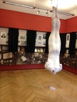 Sigmund Freud Museum 04