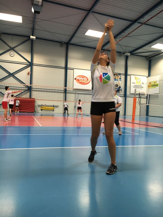 Volleyball 11