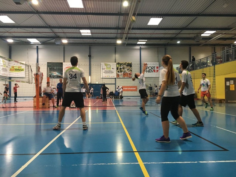 Volleyball 01