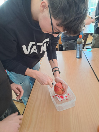 BiblKochen12 (925 visits) BiblKochen12