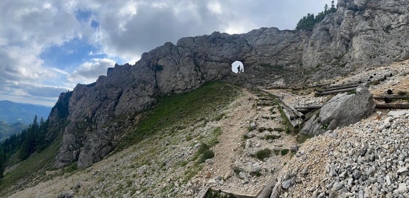 Image6