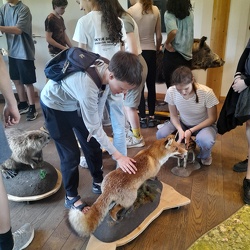 2025 04 30 Waldschule Lobau 4AB