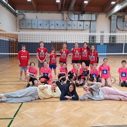 Volleyball