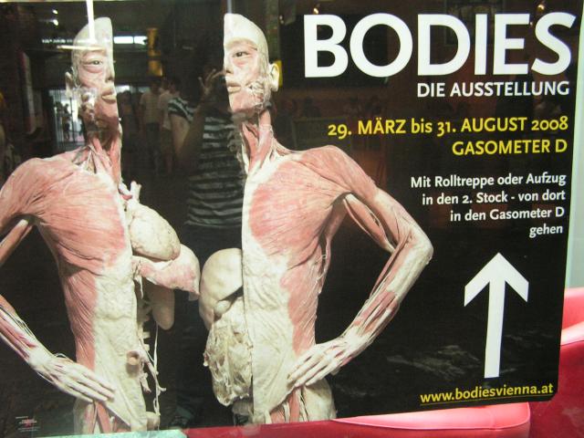 Ausstellung_Bodies_01.JPG